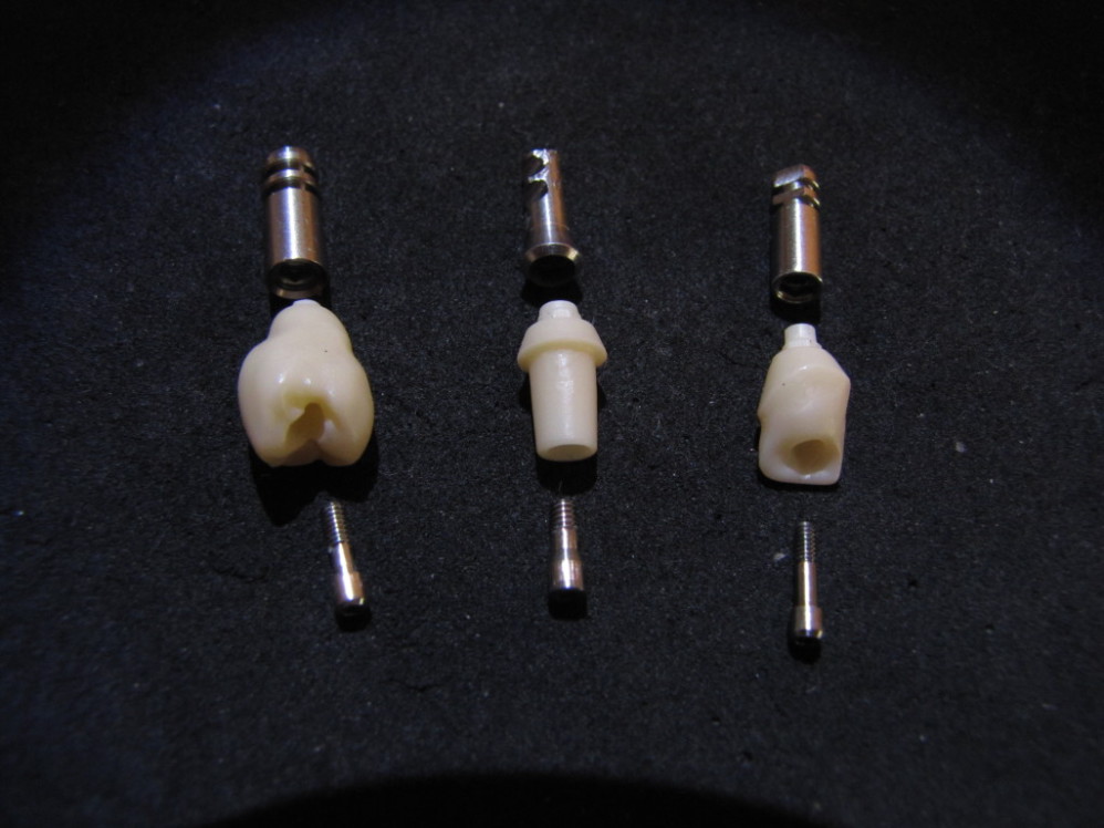 Digident abutments